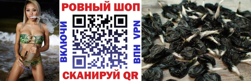 Купить АМФЕТАМИН  Мефедрон  Канабис  Кокаин  Новоаннинский