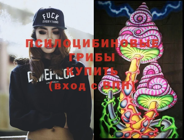 2c-b Вяземский