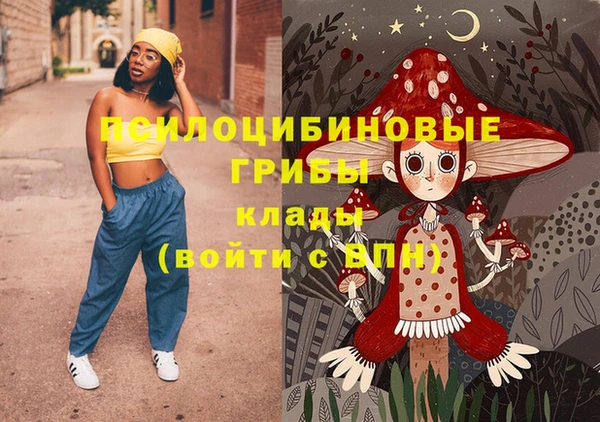 гидра Вязники