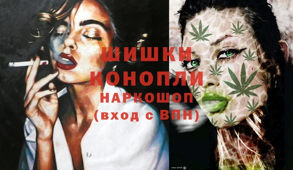 гидра Вязники