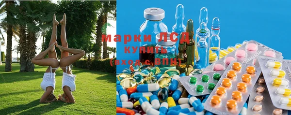 гидра Вязники