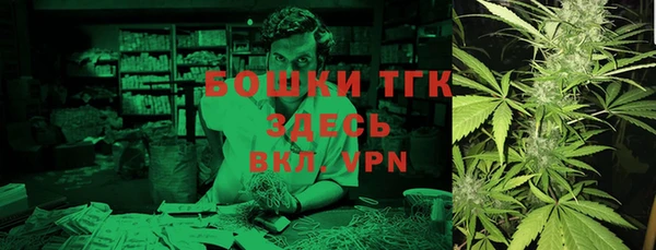 гидра Вязники