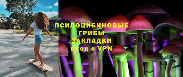 2c-b Вяземский