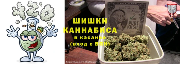 гидра Вязники
