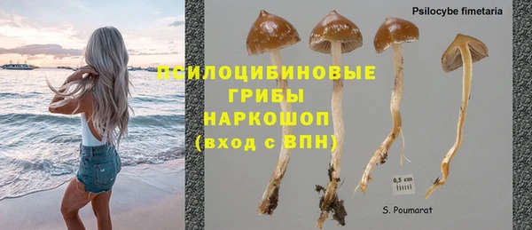 гидра Вязники